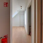 Ferme De Pétrieux - L'erable Avec Piscine Et Wellness * Tournai