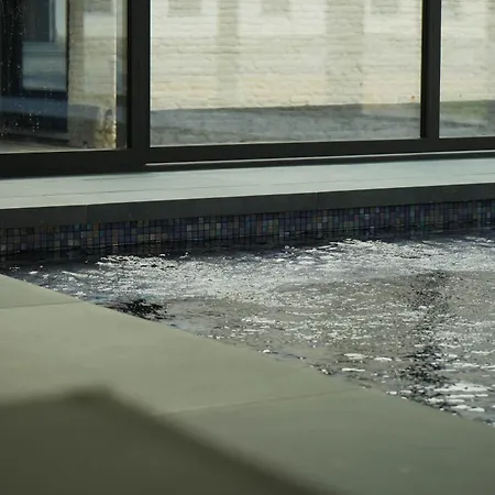 Hébergement de vacances Ferme De Pétrieux - L'erable Avec Piscine Et Wellness *